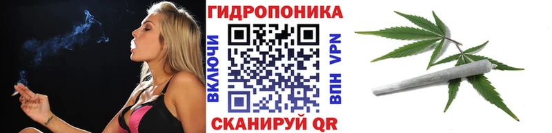 мега как зайти  Струнино  Бошки марихуана индика  где продают наркотики 